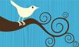 Twitter: 791 mensagens deste autor.