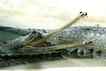 Gavial, foto 1